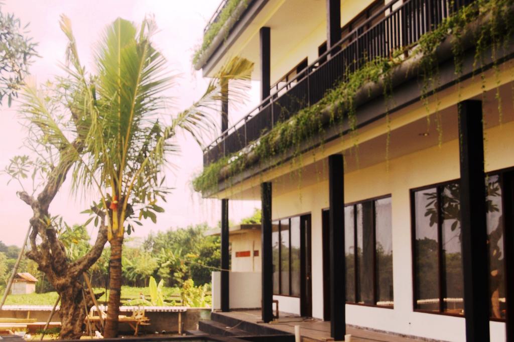 Grandpa Guest House Canggu Extérieur photo