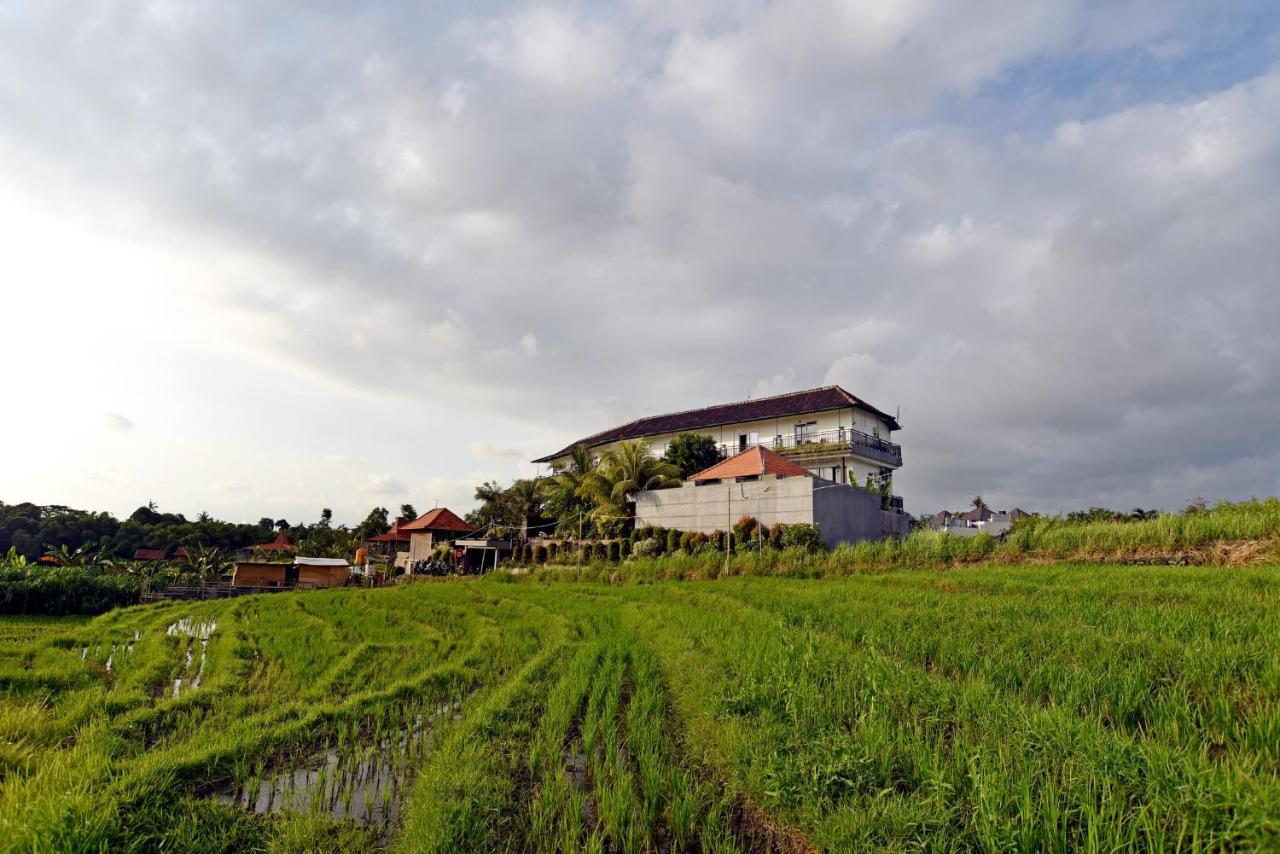Grandpa Guest House Canggu Extérieur photo