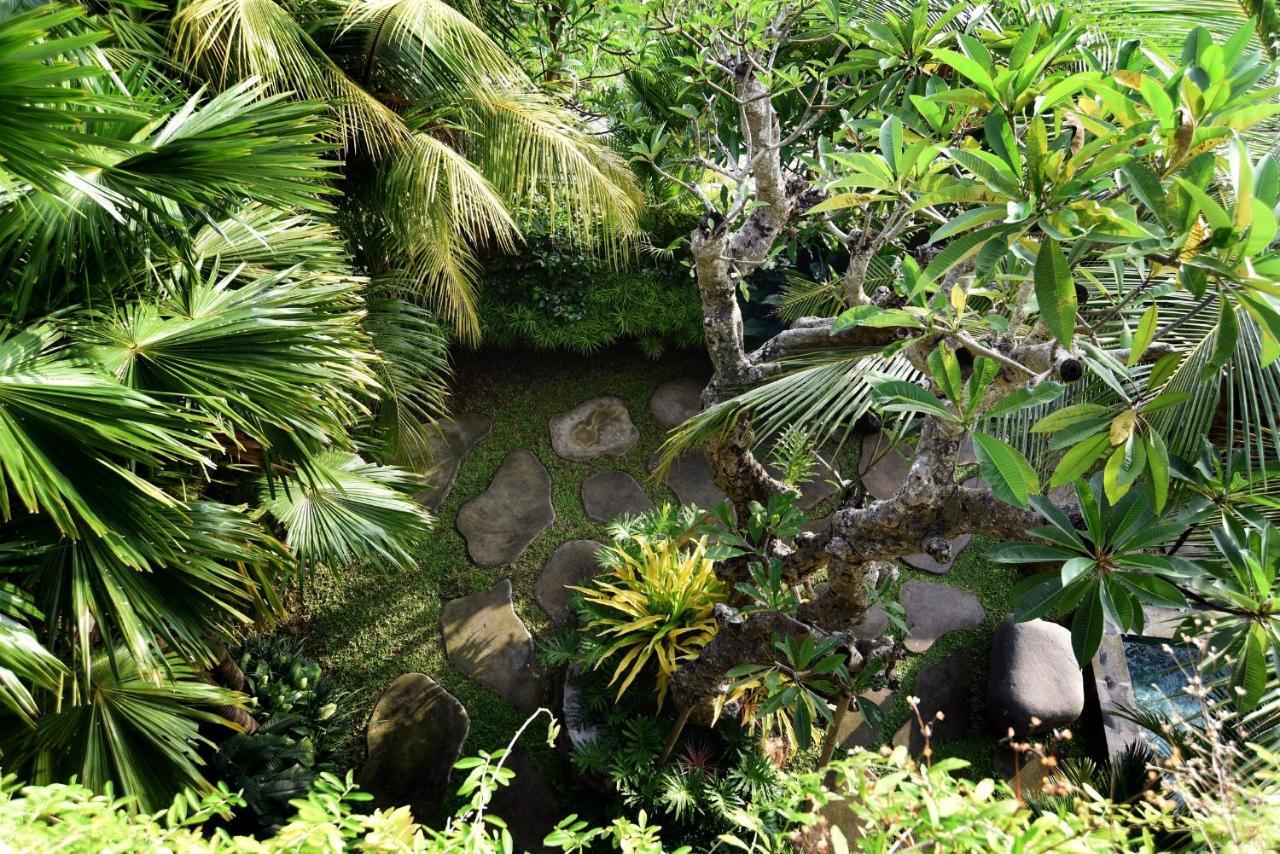 Grandpa Guest House Canggu Extérieur photo