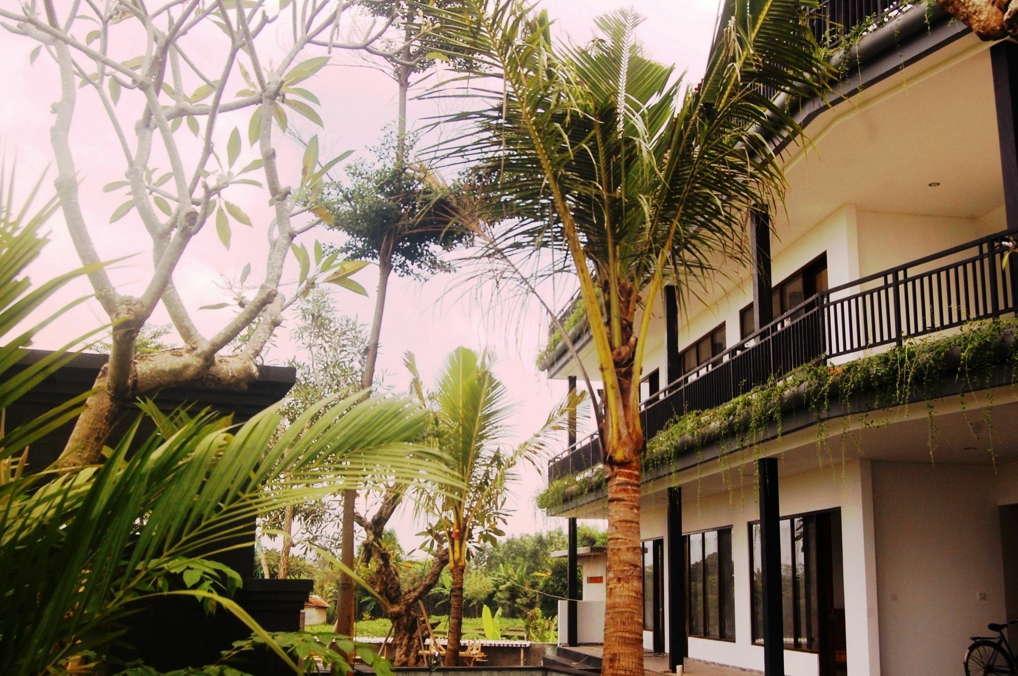 Grandpa Guest House Canggu Extérieur photo