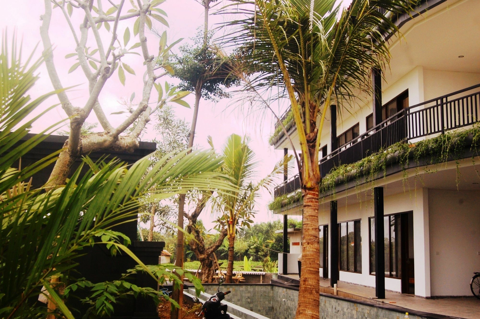 Grandpa Guest House Canggu Extérieur photo